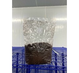 2kg Uninoculated Mushroom Substrate Masters Mix Bag sterilized and ready to be inoculated (Soy Hulls+Hardwood) Grow Bags
